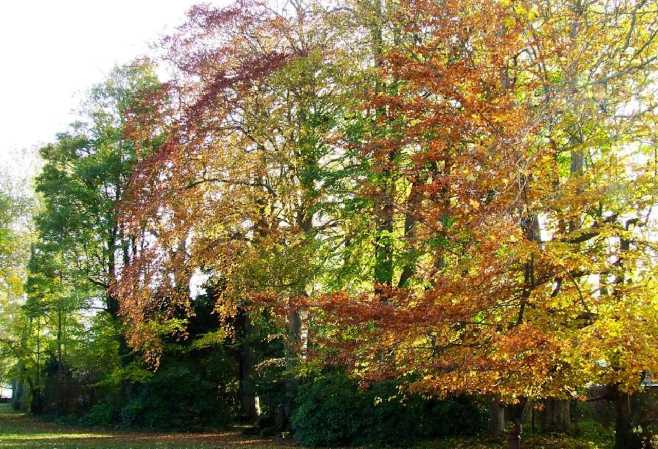 Maison Charmante A Ryes Avec Jardin Clos Et Acces Pmr Εξωτερικό φωτογραφία